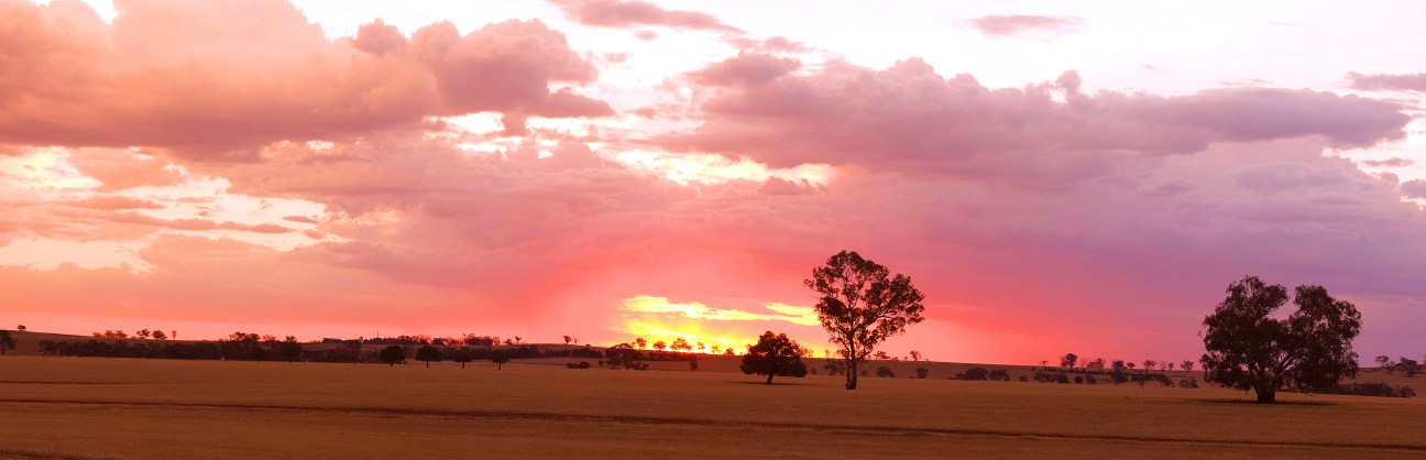 Rural sunset panorama