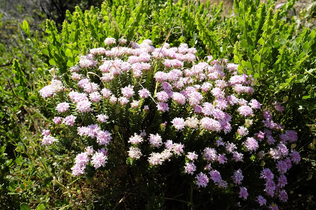 Featured Image -- 4221