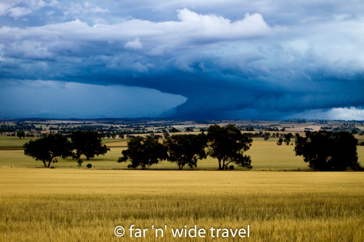 Riverina Storm